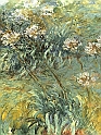 Monet - Flowers